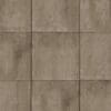 Chestnut Brown