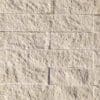 White Elm