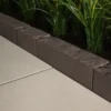 Chocolate Brown