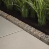Sandlewood