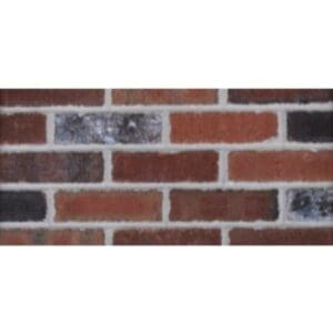 Watsontown Brick- Georgetowne Tumbled Black and White
