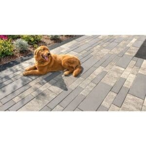 Unilock - Promenade EnduraColor Plank Paver
