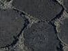 Coal