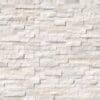 Arctic White