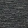 Glacial Black 3D