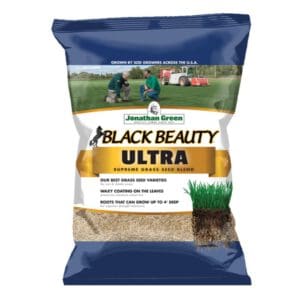 Grass Seeds