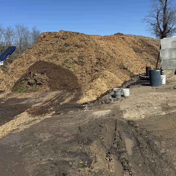 Cedar Mulch
